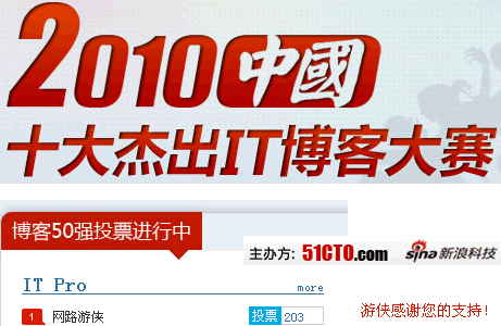 2010中国十大杰出IT博客大赛——游侠感谢您的投票！插图
