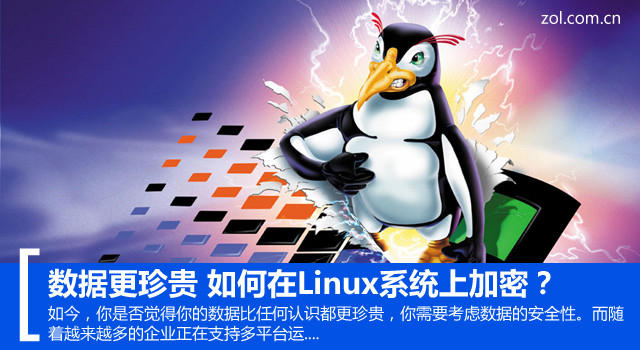 数据更珍贵 如何在Linux系统上加密？ 