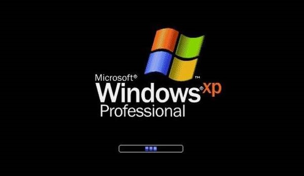 windows_xp_professional_loading_screen.jpg