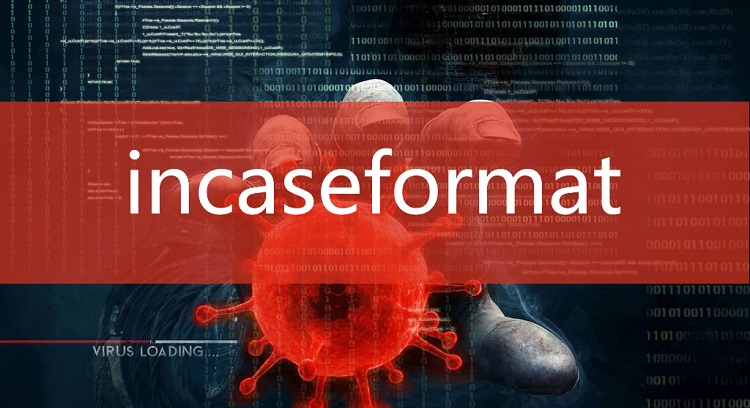 1610952706-incaseformat