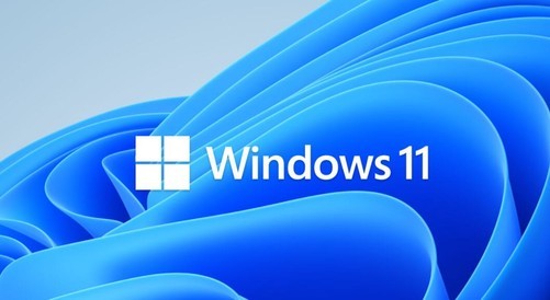 只因奖金打折 黑客公开 Windows 11 高危漏洞