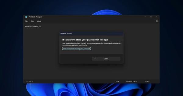 Windows 11新功能：若用户在随机应用中存储密码将发出警告
