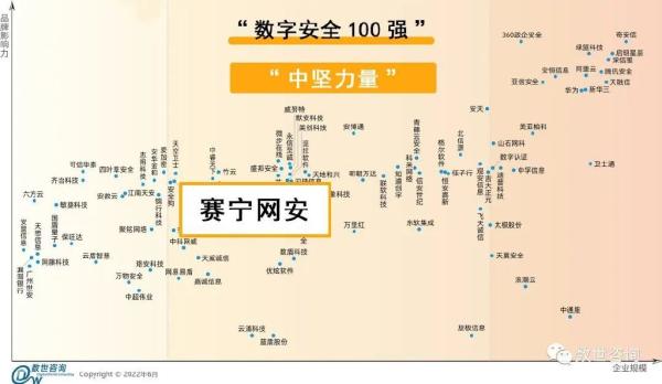 年度十强！赛宁网安再次入围《中国数字安全百强报告》