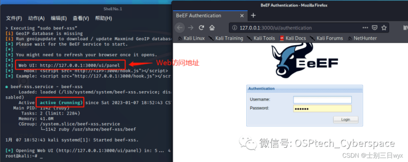 BeEF-XSS 使用教程图文教程（超详细）