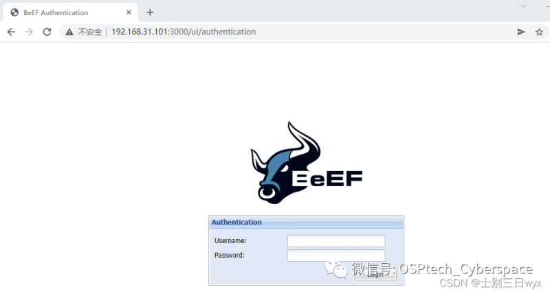 BeEF-XSS 使用教程图文教程（超详细）