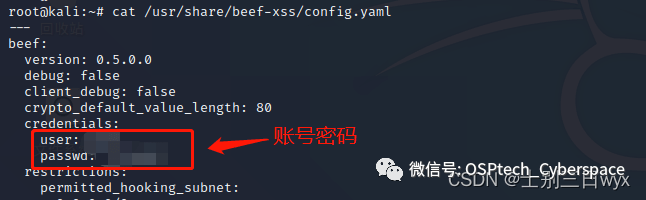 BeEF-XSS 使用教程图文教程（超详细）